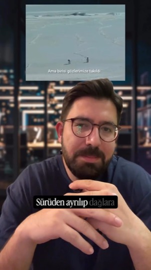 Sürüden ayrılan penguen videosu üzerinden yalnızlık, kendi yolunu seçme ve kalabalıktan kopma metaforunu anlatan video.